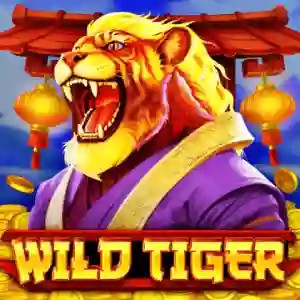 Play Wild Tiger slot by BGAMING on dazard-casino.de